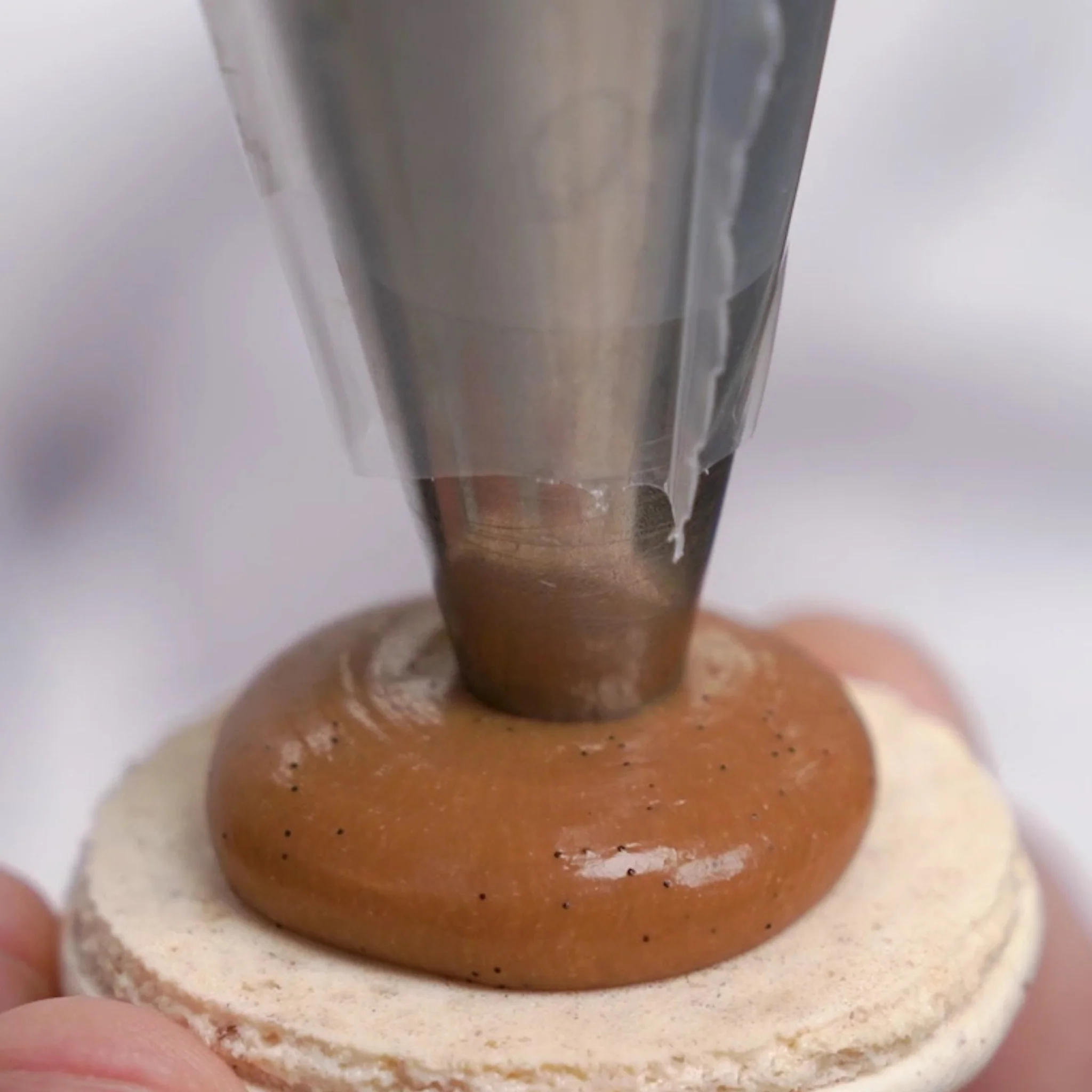 Apple and Walnut Macaron by Oleksandr Trofimenkov Video Class - Image 4
