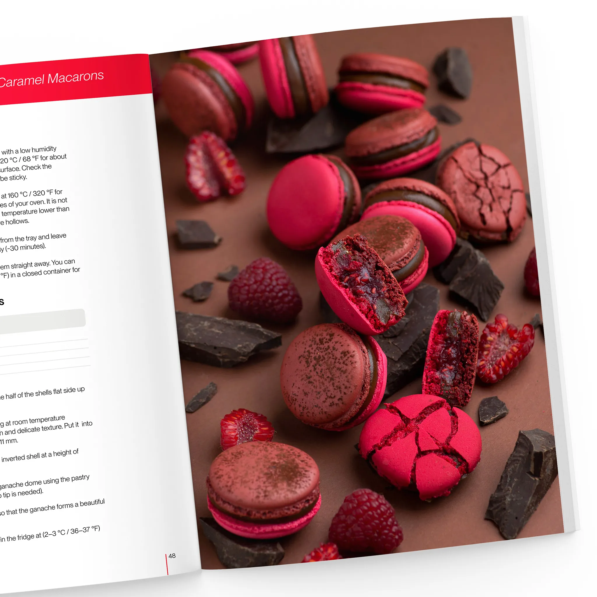Fashion Macarons: The Ultimate Guide To Chic And Colorful Macarons! - Image 6