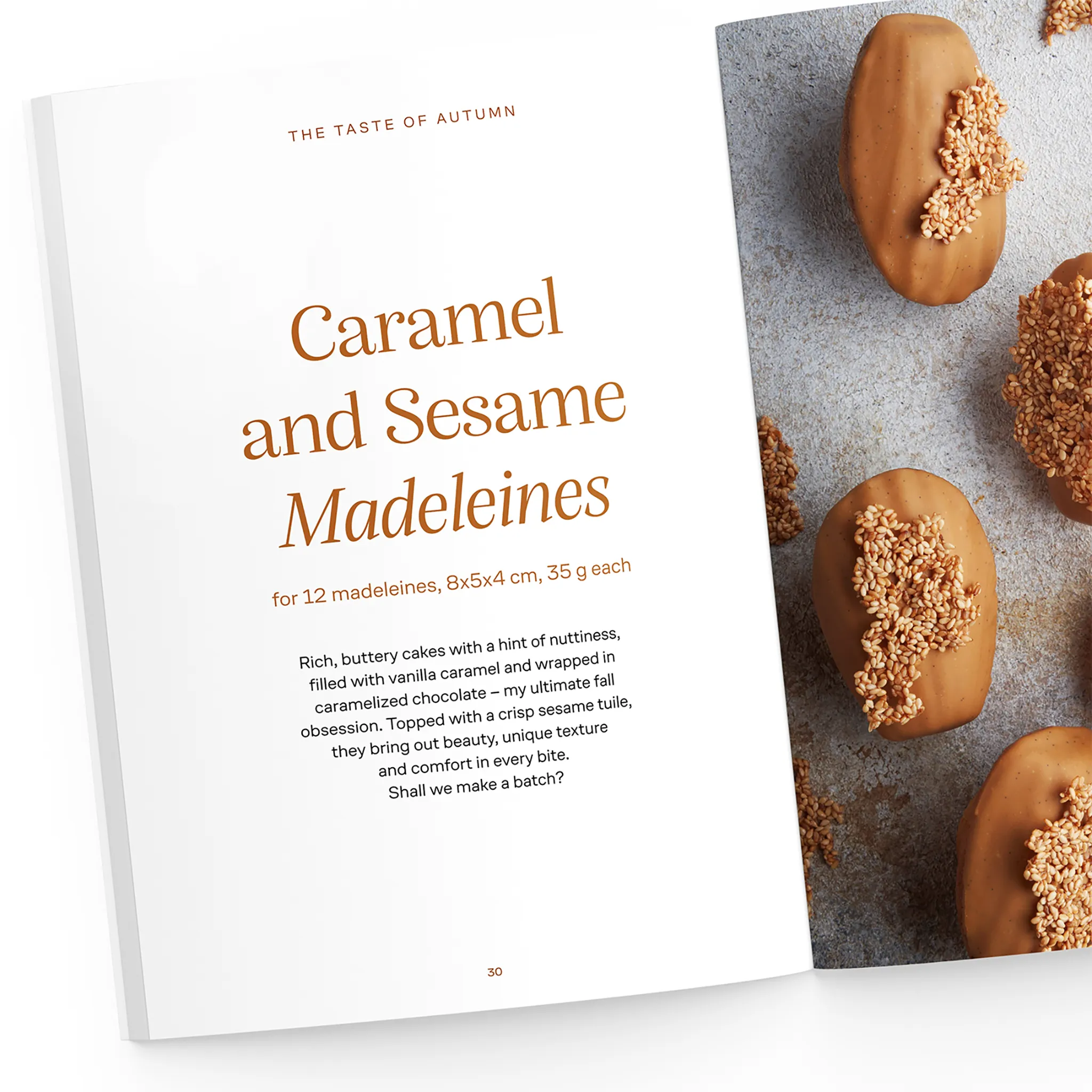 The Taste of Autumn: 20 stylish dessert recipes for pies, cakes, cookies & more - Image 8
