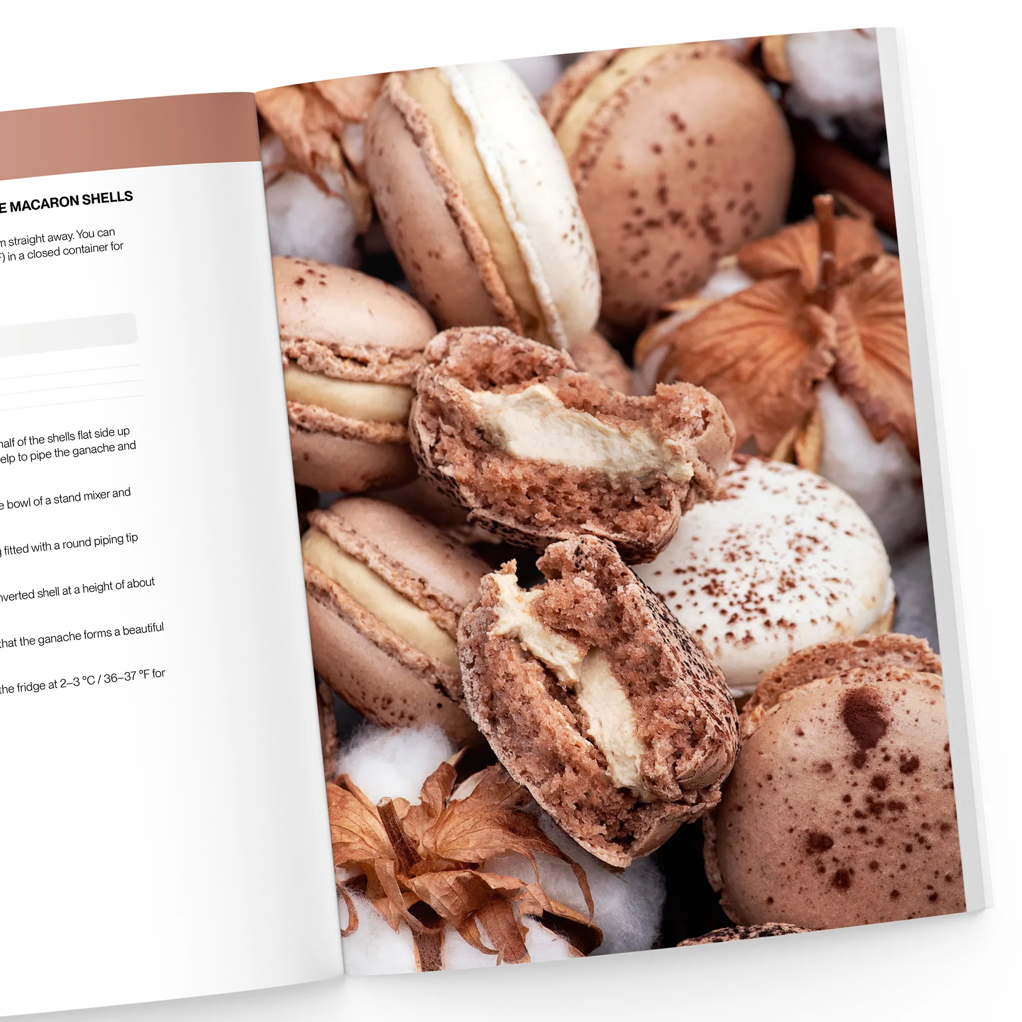 The Big Macaron Cookbook - Image 6