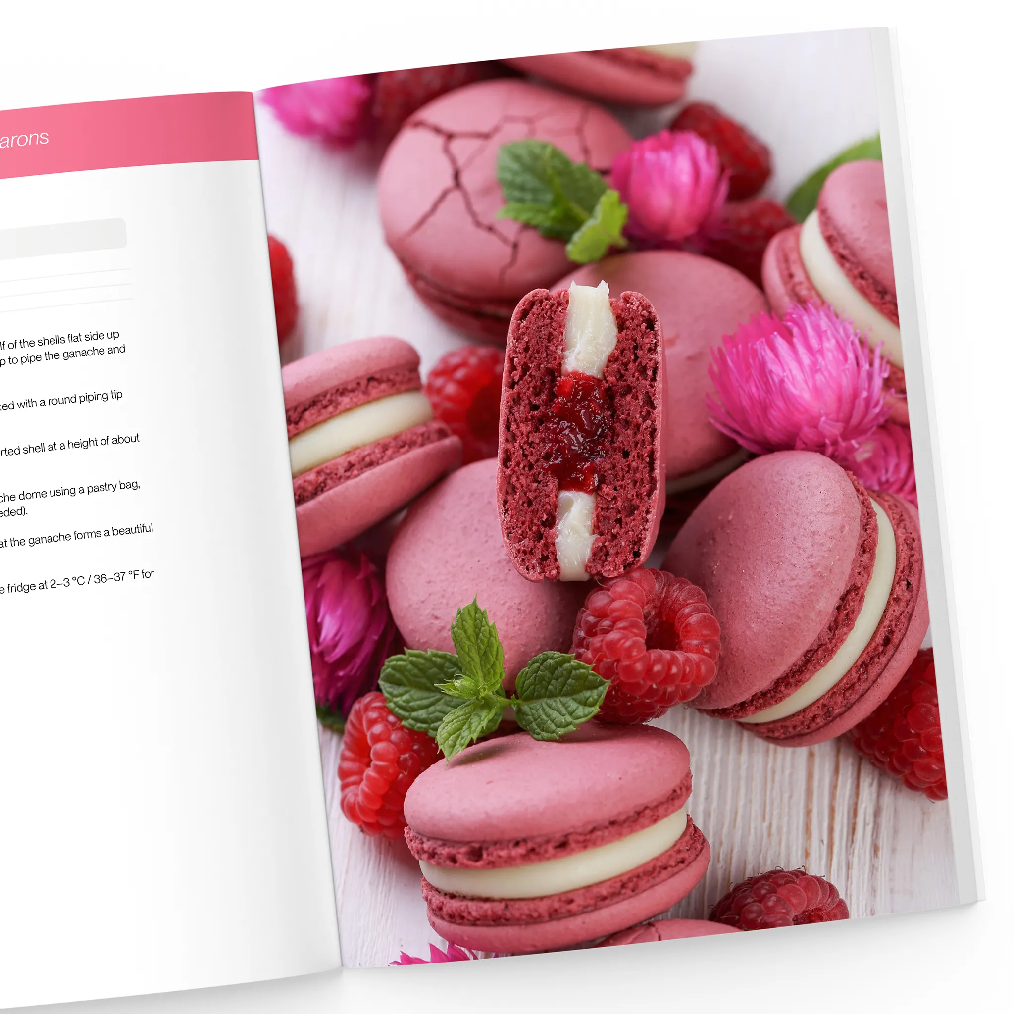 The Big Macaron Cookbook - Image 8