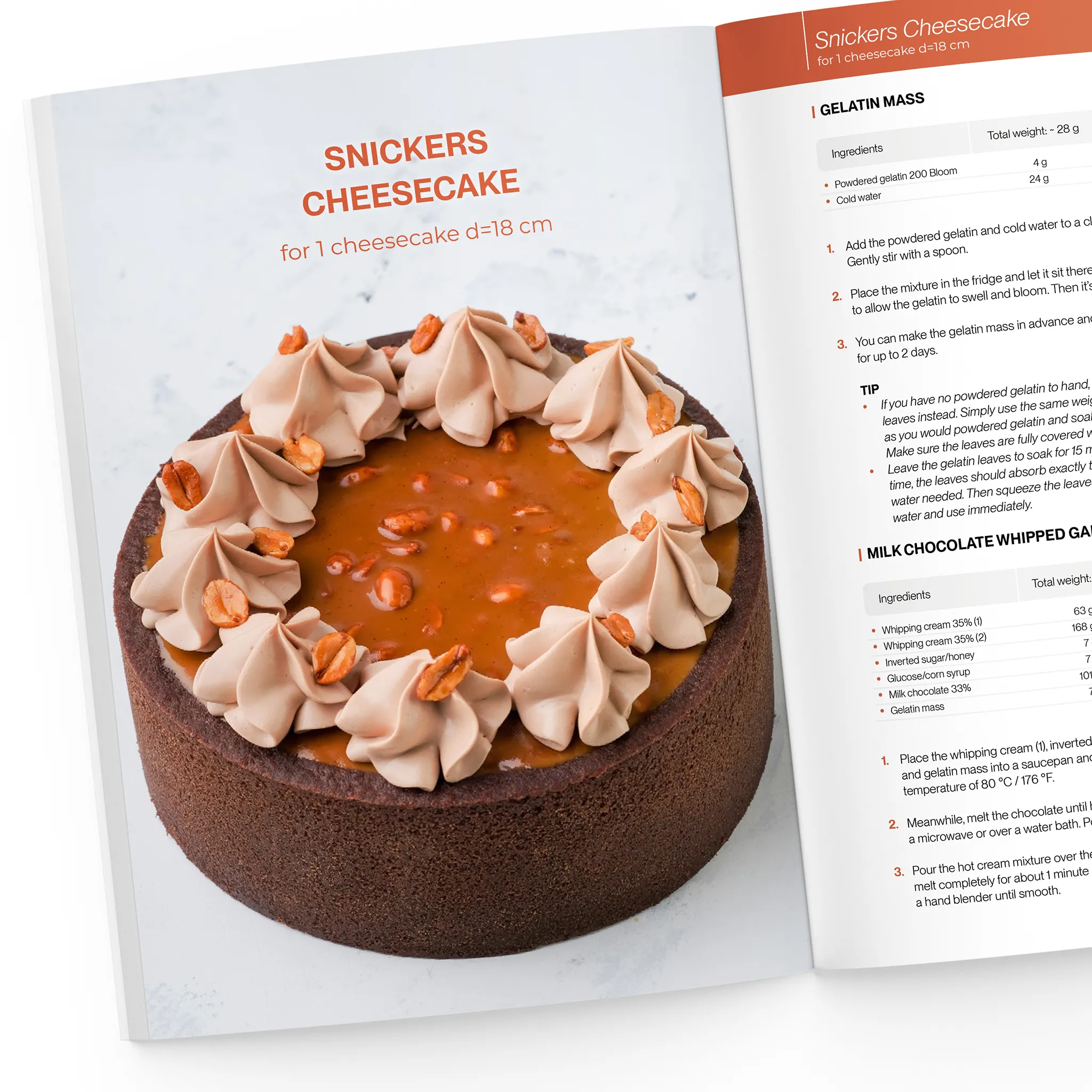 The Ultimate Cheesecake Collection Bundle - Image 5